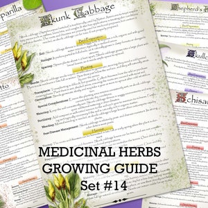 Guía de cultivo de hierbas medicinales, set 14 / Descargar PDF / Formatos A4, A5, Carta (EE. UU.), Media Carta / Herbolario y jardinería de Green Witch / Recursos para preparacionistas