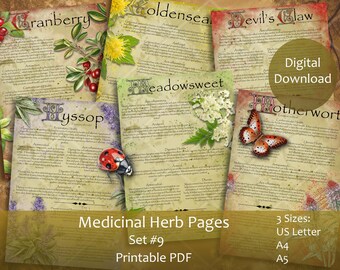 Herbal Wisdom: Illustrated Medicinal Herb Pages Set 9. Natural remedy  printable apothecary herb journal