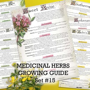 Medicinal Herb Growing Guide Set 15  | Download PDF |A4, A5, US Letter, Half Letter | Herbalist & Green Witch Gardening | Preppers Resource