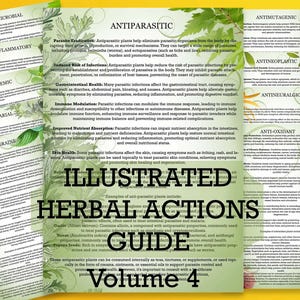 Illustrated Herbal Actions Guide Vol 4: Materia Medica (Digital PDF)