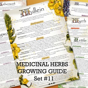 Guía de cultivo de hierbas medicinales, juego 11 / Descargar PDF / A4, A5, carta de EE. UU., media carta / Herbolario y jardinería de Green Witch / Recurso para preppers