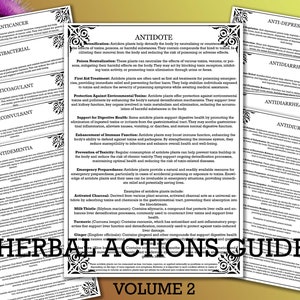 Herbal Actions Guide Vol 2- Set of 10  PDF Pages. Herbal studies Materia Medica 4 Sizes