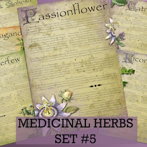 Herbal Wisdom: Illustrated Medicinal Herb Pages Set 5. Natural remedy  printable apothecary herb journal
