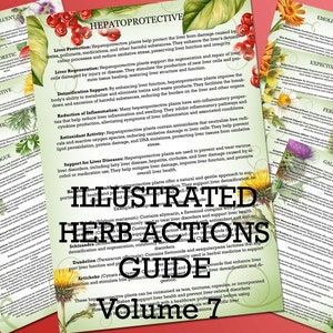 Illustrated Herb Actions Guide: Herbal Materia Medica (Digital PDF)