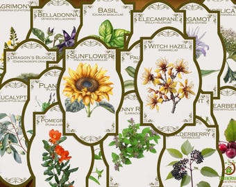 Apothecary Herb Labels – 145 Unique Medicinal and Magical Stickers (PDF & PNG)