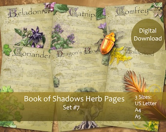 Herbal Book of Shadows pages Set 7, Grimoire, Spell book, Apothecary, Witch tools.
