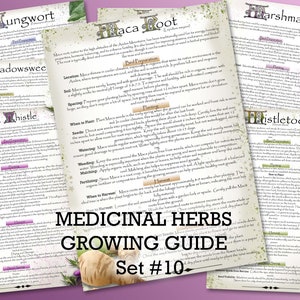Guía de cultivo de hierbas medicinales: Kit de jardinería herbolaria (Descarga PDF)