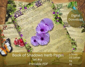 Magic Herbs Book of Shadows pages Set 13. A4, A5, US Letter Grimoire. Illustrated Witch Apothecary Wisdom Spell Work Herbalism.BOS