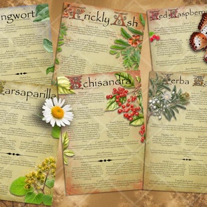 Herbal Wisdom: Illustrated Medicinal Herb Pages Set 15. Natural remedy  printable apothecary herb journal, Garden pharmacy