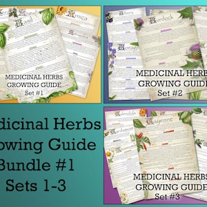 Medicinal Herb Growing Guide Bundle: 1Herbalist & Green Witch (Digital Download PDF)