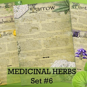 Herbal Wisdom: Illustrated Medicinal Herb Pages Set 6. Natural remedy  printable apothecary herb journal