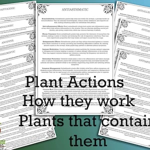 Herbal Actions Guide Volume 1 - Set of 10  PDF Pages. Herbal studies Materia Medica 4 Sizes