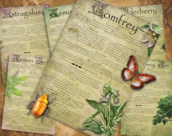 Kruidenwijsheid: geïllustreerde geneeskrachtige kruidenpagina's Set 7. Afdrukbaar apothekerskruidendagboek voor natuurlijke remedies