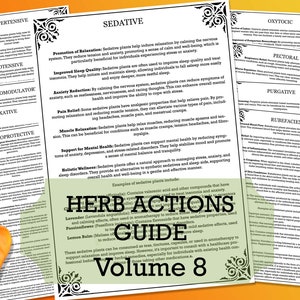 Guía de acciones de hierbas Vol 8: conjunto de 10 páginas PDF. Estudios herbarios Materia Medica 4 Tamaños Estudios herbarios. Conocimientos herbarios esenciales. preparadores