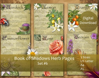 Herbal Book of Shadows pages Set 6, Grimoire, Spell book, Apothecary, Witch tools.