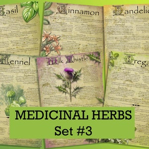 Herbal Wisdom: Illustrated Medicinal Herb Pages Set 3. Natural remedy  printable apothecary herb journal