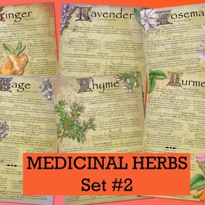 Herbal Wisdom: Illustrated Medicinal Herb Pages Set 2. Natural remedy  printable apothecary herb journal