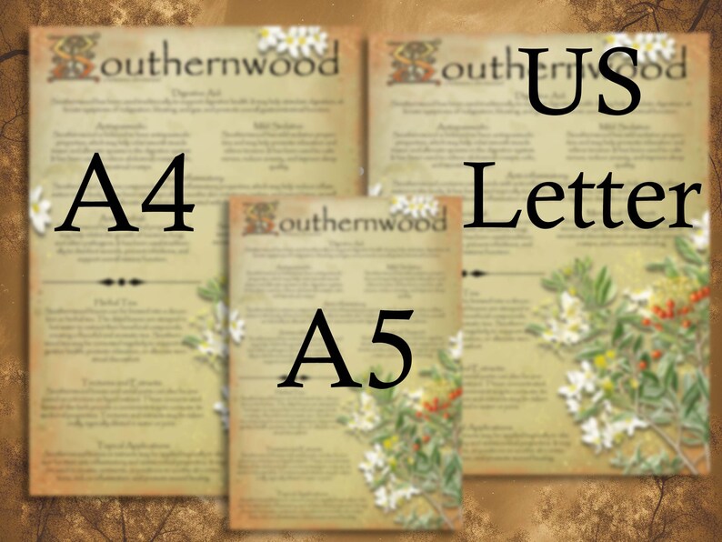 Illustrated Medicinal Herb Pages Set 16. Natural Remedy Printable