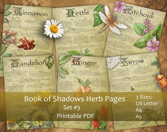 Puede incluir: Páginas de hierbas imprimibles de un Libro de las Sombras, con ilustraciones botánicas y texto manuscrito. Las páginas incluyen información sobre canela, ortiga, pachulí, diente de león, jengibre y milenrama. Disponible en tamaños US Letter, A4 y A5.