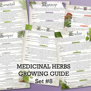 Guía de cultivo de hierbas medicinales, juego de 8 / Descargar PDF / A4, A5, carta de EE. UU., media carta / Herbolario y jardinería de Green Witch / Recurso para preppers