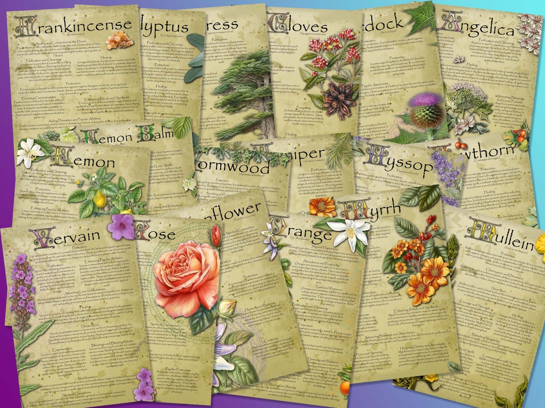 Magic Herbs Book of Shadows Pages Bundle 2. Sets 4-6. 18 Magical Herbs ...