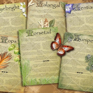 Herbal Wisdom: Illustrated Medicinal Herb Pages Set 13. Natural remedy  printable apothecary herb journal, Garden pharmacy