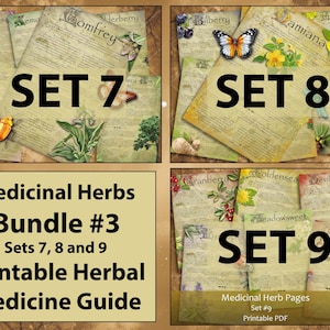 Paquete de curación a base de hierbas #3 Colección de hierbas medicinales ilustradas /Cottagecore Boticario Remedio natural A4 A5 Conjuntos de cartas de EE. UU. 7-9