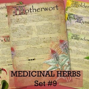 Herbal Wisdom: Illustrated Medicinal Herb Pages Set 9. Natural remedy  printable apothecary herb journal