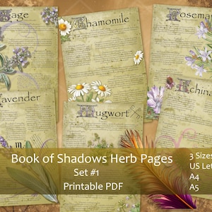 Herbal Book of Shadows pages Set 1, Grimoire, Spell book, Apothecary, Witch tools.