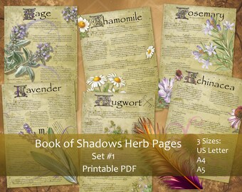 Puede incluir: Un conjunto de páginas de hierbas imprimibles para el Libro de las Sombras con ilustraciones de salvia, manzanilla, romero, lavanda, ajenjo y equinácea. Las páginas están disponibles en tres tamaños: US Letter, A4 y A5.