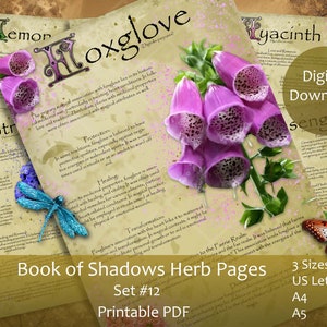 Juego de páginas del Libro de las Sombras de Hierbas Mágicas 12. A4, A5, Grimorio de letras estadounidenses. Bruja ilustrada Boticario Sabiduría Hechizo Trabajo Herboristería.BOS