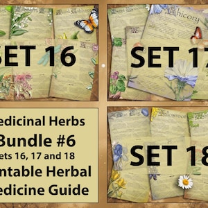 Paquete de curación a base de hierbas #6: Colección ilustrada de hierbas medicinales /Remedio natural de boticario Cottagecore