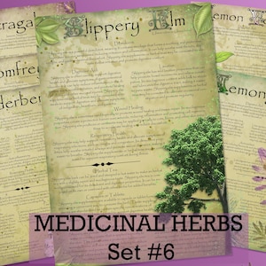 Sabiduría herbaria: Conjunto de páginas ilustradas de hierbas medicinales 7. Diario de hierbas de boticario imprimible con remedios naturales