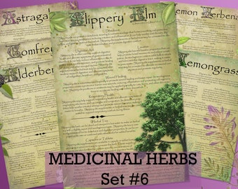 Herbal Wisdom: Illustrated Medicinal Herb Pages Set 7. Natural remedy  printable apothecary herb journal