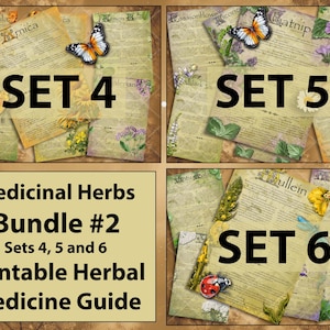 Paquete de curación a base de hierbas #2 Colección de hierbas medicinales ilustradas /Cottagecore Boticario Remedio natural A4 A5 Conjuntos de cartas de EE. UU. 4-6