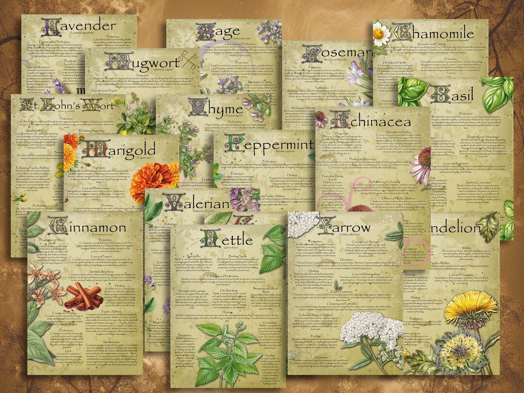 Magic Herbs Book of Shadows Pages Bundle 1. Sets 1-3. 18 Magical Herbs ...