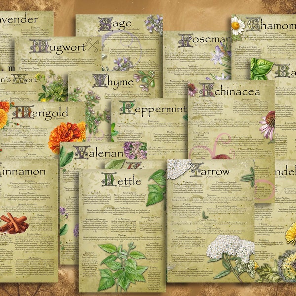 Magic Herbs Book of Shadows pages Bundle 1. Sets 1-3. 18 Magical Herbs. A4, A5, US Letter Grimoire. Illustrated Witch Apothecary