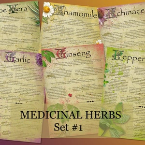 Herbal Wisdom: Illustrated Medicinal Herb Pages Set 1. Natural remedy  printable apothecary herb journal