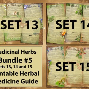 Paquete de curación herbaria #5 Colección ilustrada de hierbas medicinales /Cottagecore Boticario Remedio natural A4 A5 Conjuntos de cartas de EE. UU. 13-15