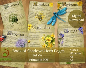 Herb Book of Shadows Pages Set 11, Witch Apothecary Art (Digital Download)