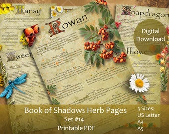 Magic Herbs Book of Shadows pages Set 14. A4, A5, US Letter Grimoire. Illustrated Witch Apothecary Wisdom Spell Work Herbalism.BOS