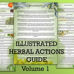 Illustrated Herbal Actions Guide: Materia Medica, Volume 1 (Digital PDF)
