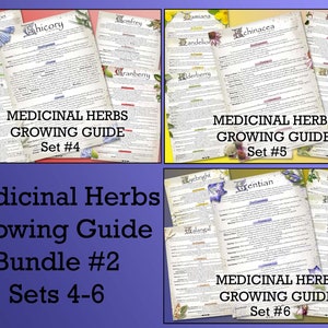 Medicinal Herb Growing Guide Bundle 2: Herbalist & Green Witch Gardening (Digital Download)