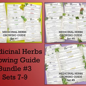 Medicinal Herb Growing Guide Bundle #3 |Sets 7-9| Digital Download PDF |A4, A5, US Letter, Half Letter | Herbalist & Green Witch Gardening