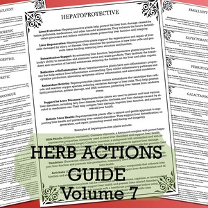 May include: An illustrated guide to herb actions, titled "Herb Actions Guide Volume 7". The guide is green and white and lists various actions of herbs, including demulcent, diaphoretic, digestive, diuretic, emmenagogue, hepatoprotective, emollient, expectorant, febrifuge, and galactagogue.