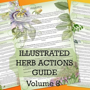 Illustrated Herbal Actions Guide Volume 8 - Set of 10 Digital PDF Pages. Herbology. Herbalist Study Guide. Herbal Medicine.Preppers resource