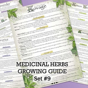 Guía de cultivo de hierbas medicinales, juego 9 / Descargar PDF / A4, A5, carta de EE. UU., media carta / Herbolario y jardinería de Green Witch / Recurso para preppers
