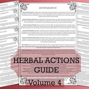 Herbal Actions Guide Vol 4- Set of 10  PDF Pages. Herbal studies Materia Medica 4 Sizes Herbal Studies. Essential herbal knowledge.