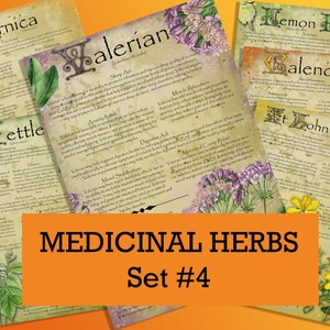 Herbal Wisdom: Illustrated Medicinal Herb Pages Set 4. Natural remedy  printable apothecary herb journal