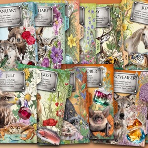 Può includere: Una collezione di biglietti di calendario mensili illustrati. Ogni biglietto presenta il nome del mese, l'animale, il fiore, l'erba e la pietra preziosa. I biglietti sono decorati con illustrazioni floreali e animali, in stile vintage.